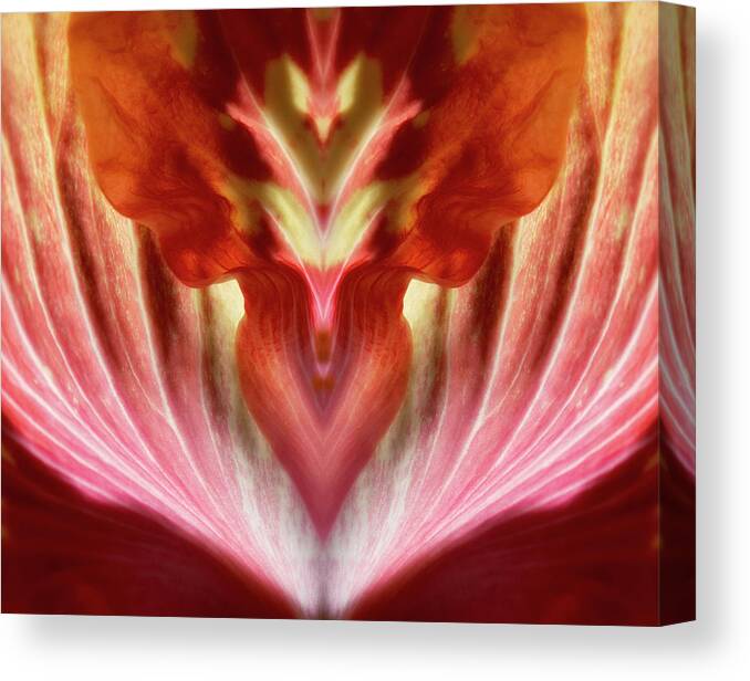 Flower Canvas Print featuring the photograph Hibiscus Symmetry by Karen Smale