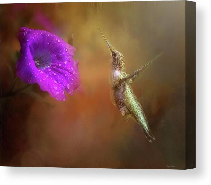 Hummingbird Canvas Print featuring the photograph Hummingbird in Golden Light by Marjorie Whitley