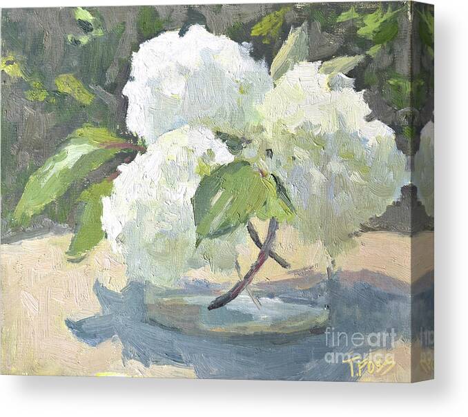 Plein Air Canvas Print featuring the painting Hydrangea Blooms by Tiffany Foss