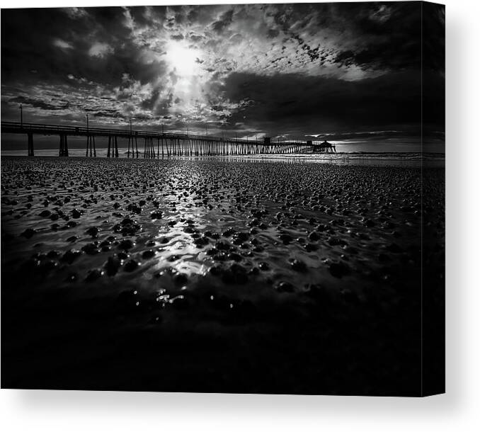 Beach Canvas Print featuring the photograph IB in BW by Bill Chizek