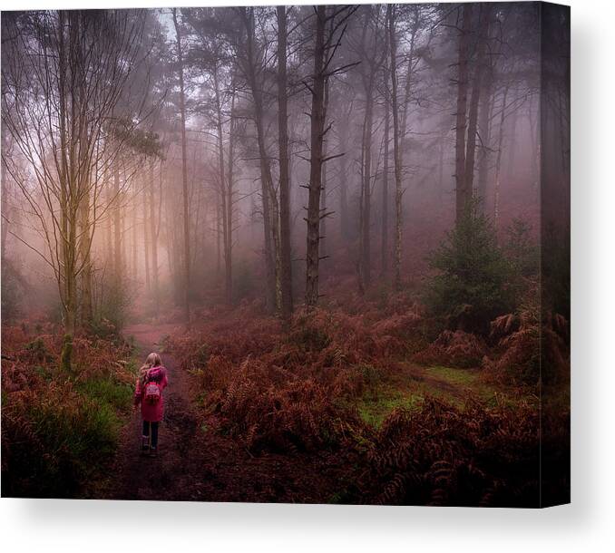 Woods Canvas Print featuring the photograph Into the woods by Chris Boulton