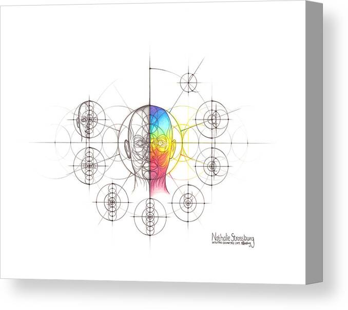 Anatomy Canvas Print featuring the drawing Intuitive Geometry Human Anatomy - Head by Nathalie Strassburg