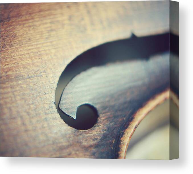 Violin Canvas Print featuring the photograph Joyful Sounds by Lupen Grainne