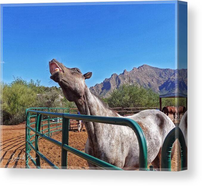 Horse Canvas Print featuring the photograph Laughing Horse by Barbara Zahno