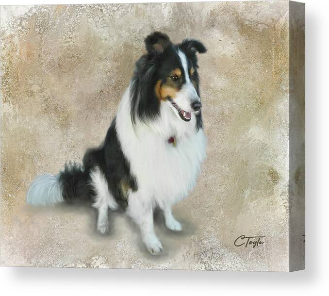 Dogs Canvas Print featuring the mixed media Lexi by Colleen Taylor