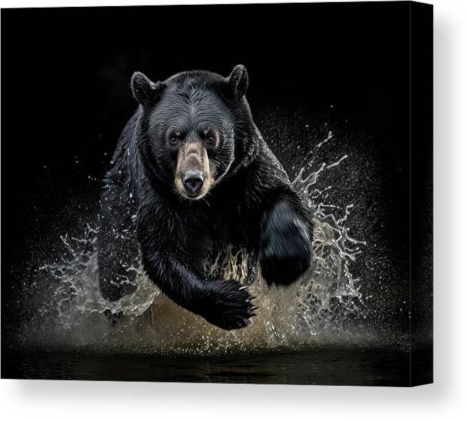 Black Bear Canvas Print featuring the photograph In Search of Adventure - Black Bears in Focus by David Mohn