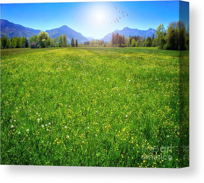 Nag005662 Canvas Print featuring the photograph Loisach Moor by Edmund Nagele FRPS
