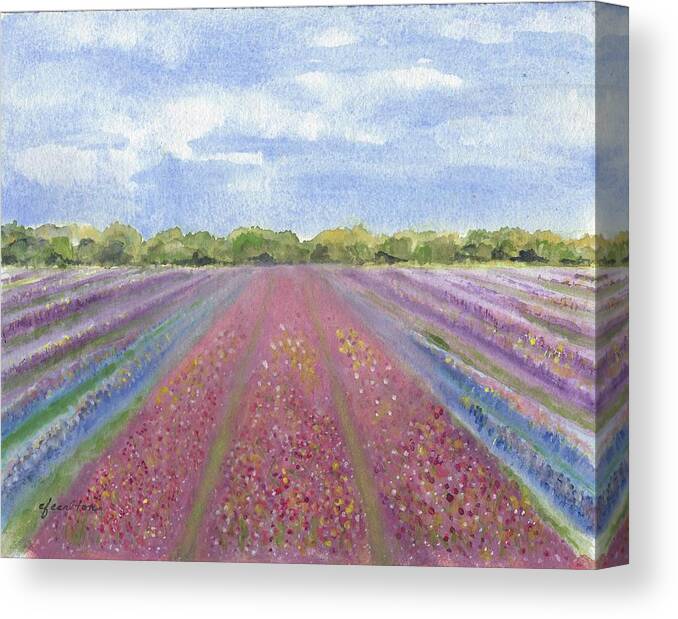 Flowers Canvas Print featuring the painting Lompoc Flower Field by Claudette Carlton