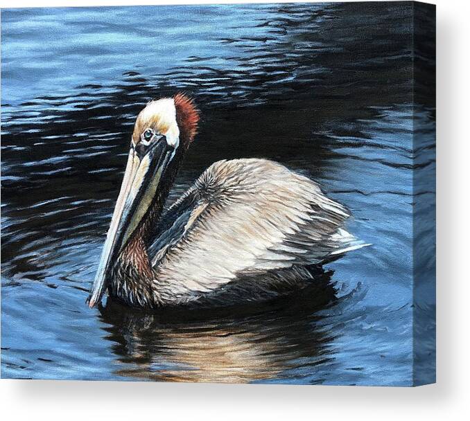 Pelican Canvas Print featuring the painting Looking for Lunch by Pam Talley