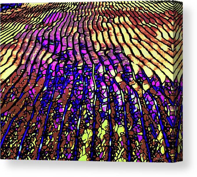 Abstract Canvas Print featuring the digital art Majestic Field by Norman Brule