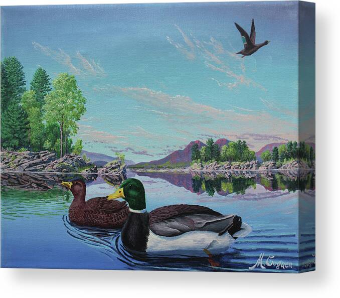 Mallard Canvas Print featuring the painting Mallard Ducks by Michael Goguen