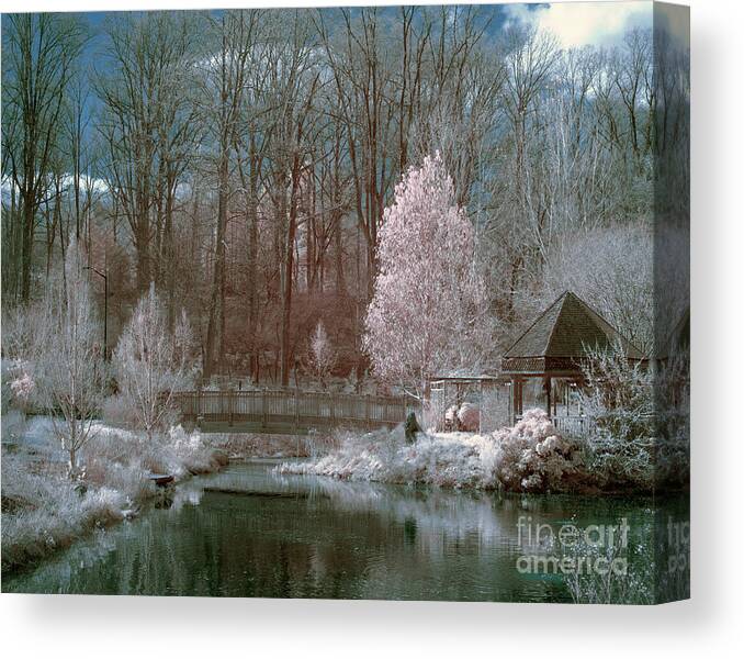 Infrared Canvas Print featuring the photograph Meditation by Izet Kapetanovic
