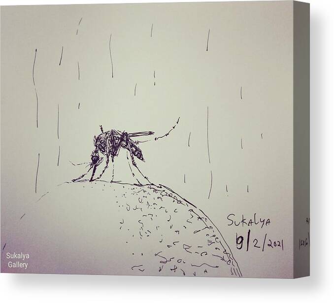 Mosquito Canvas Print featuring the drawing Mosquito by Sukalya Chearanantana