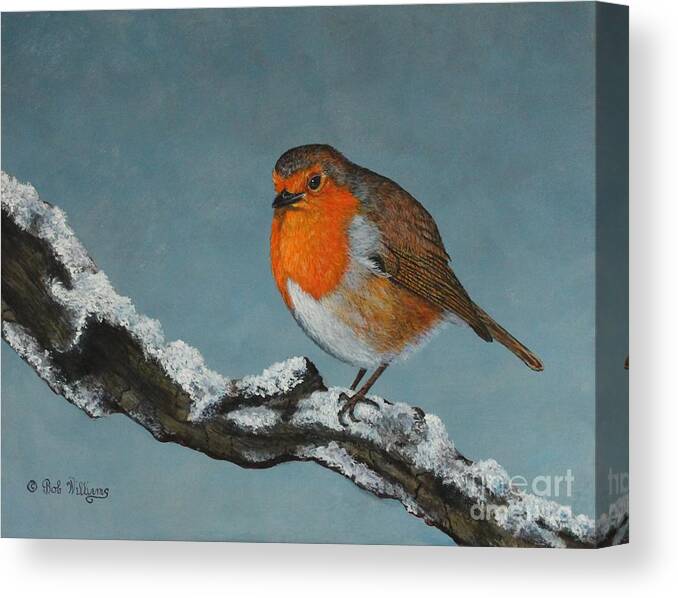 Robin Canvas Print featuring the painting Mr Robin Toughening Out Mr Winter by Bob Williams
