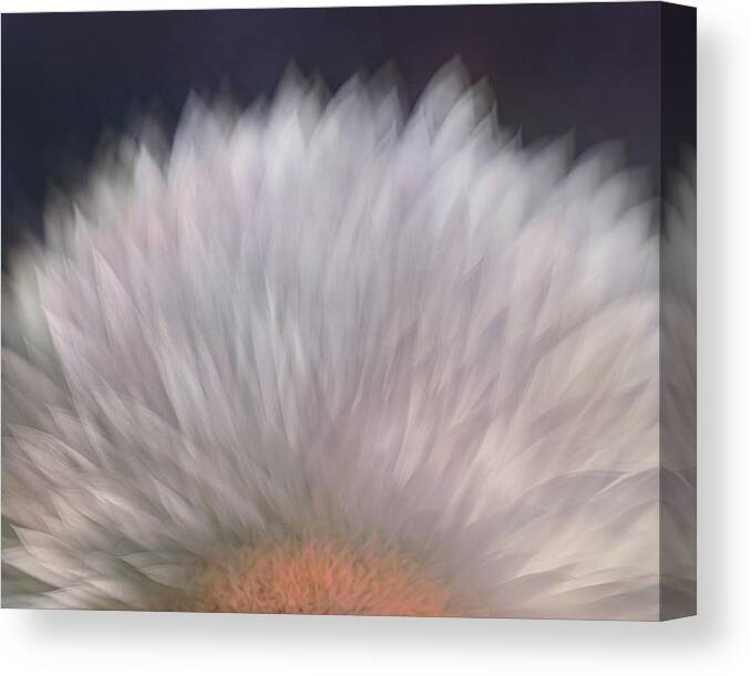 Petals Canvas Print featuring the photograph Multi layered petals by Sylvia Goldkranz