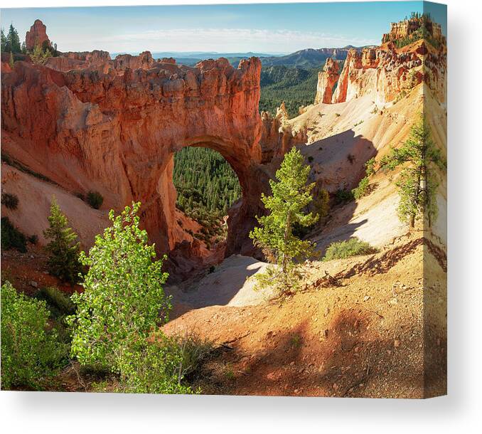 Bryce Canvas Print featuring the photograph Natural Arch by Aaron Spong