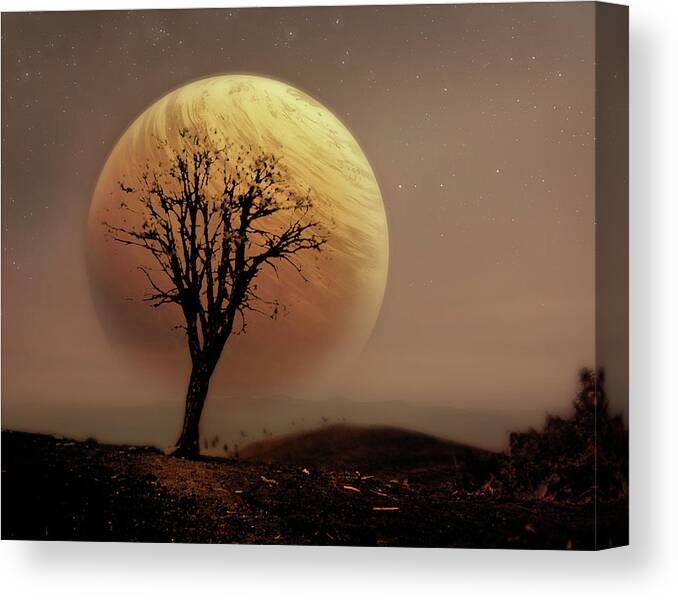 Composite Canvas Print featuring the photograph Not of This World by Jim Painter