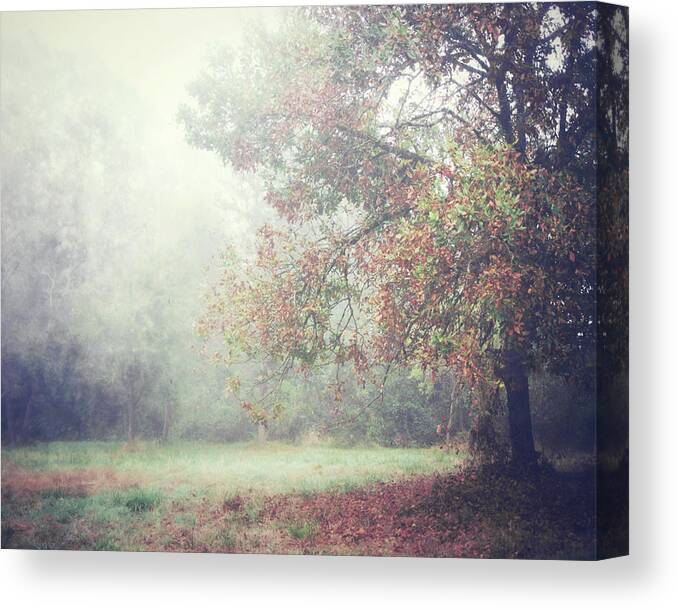 Autumn Canvas Print featuring the photograph October Meadow by Lupen Grainne