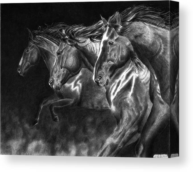 Mustang Canvas Print featuring the drawing One Way by Greg Fox