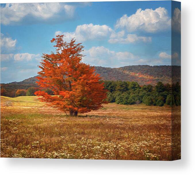 Canaan Valley Canvas Print featuring the photograph Orange Tree in Canaan Valley by Jaki Miller