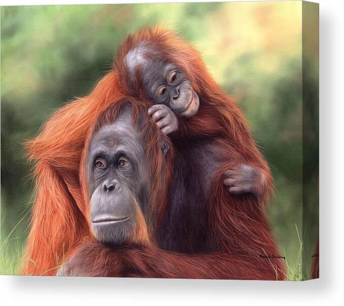 Orangutans Canvas Print featuring the painting Orangutans Painting by Rachel Stribbling