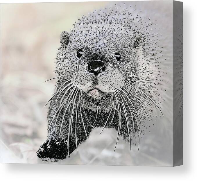 Otter Canvas Print featuring the mixed media Otter approaching, mixed media. by Tony Mills