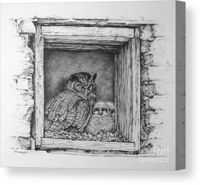 Owl Canvas Print featuring the drawing Owl Family by Pamela Sanders