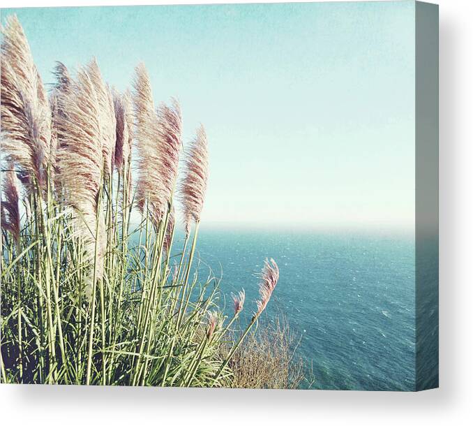 Pampas Grass Canvas Print featuring the photograph Pacific Sea and Pampas Grass by Lupen Grainne