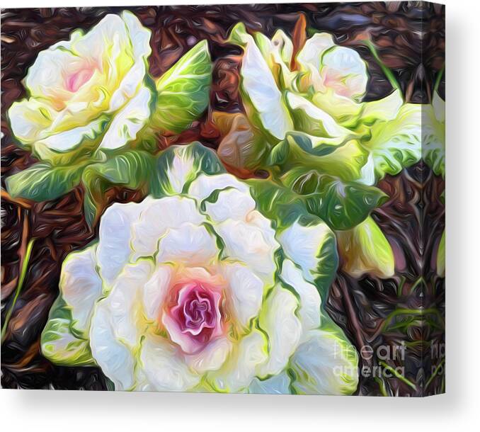 Cabbage Canvas Print featuring the photograph Pigeon White Cabbage Grouping by Amy Dundon