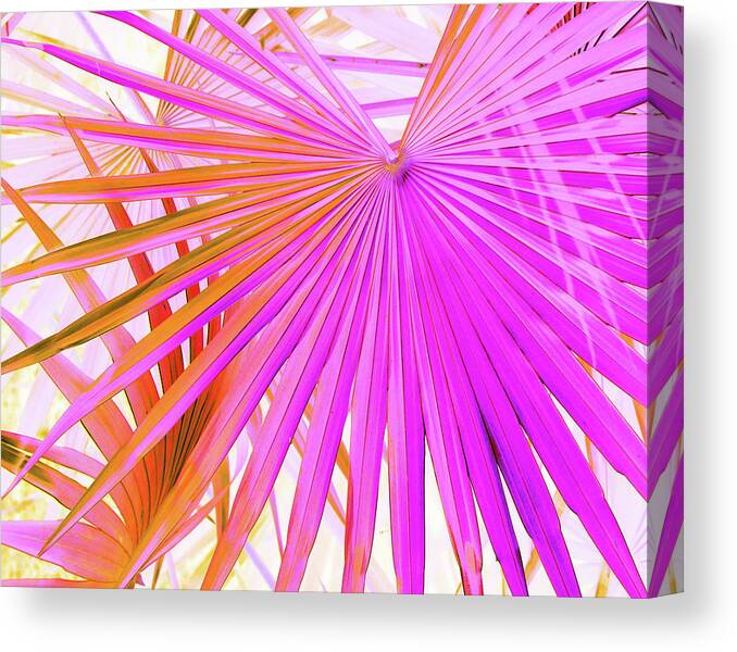 Trees Canvas Print featuring the photograph Pink Orange Palmettos by Missy Joy