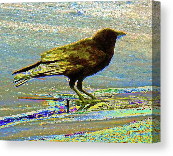 Bird Canvas Print featuring the photograph Puddled Bokeh Bird by Andrew Lawrence