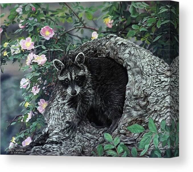 Raccoon Canvas Print featuring the painting Raccoon Heaven by Linda Becker