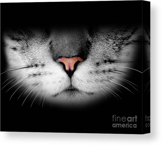 Cat Canvas Print featuring the digital art Realistic Cute Furry Cat Face by Laura Ostrowski