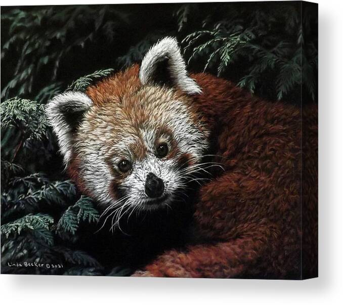 Animal Canvas Print featuring the painting Red Panda by Linda Becker