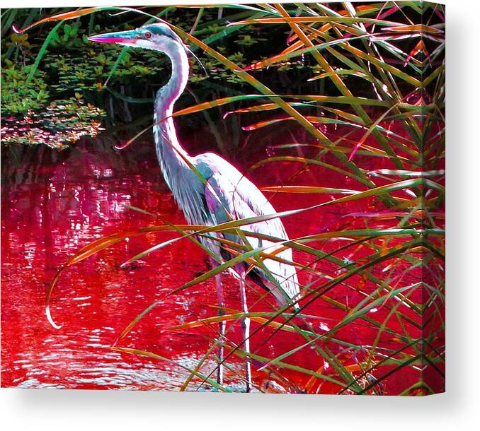 Bird Canvas Print featuring the photograph Red River Heron by Andrew Lawrence