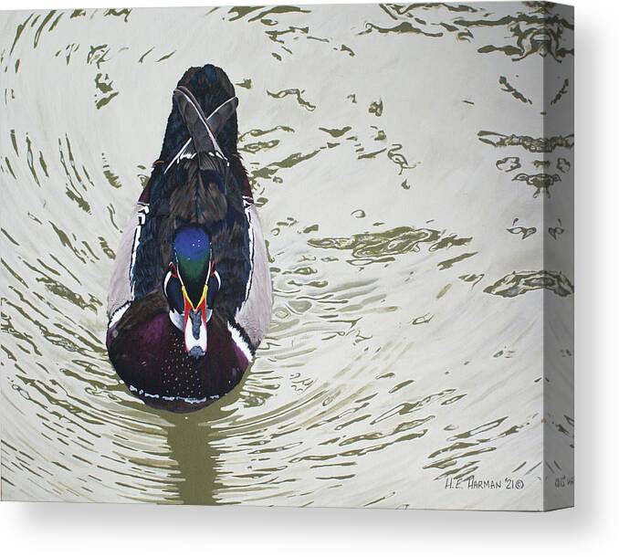 Woodduck Canvas Print featuring the painting Ripples by Heather E Harman