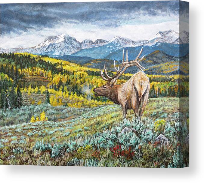 Wildlife Canvas Print featuring the painting Rocky Mountain Bull Elk by Aaron Spong