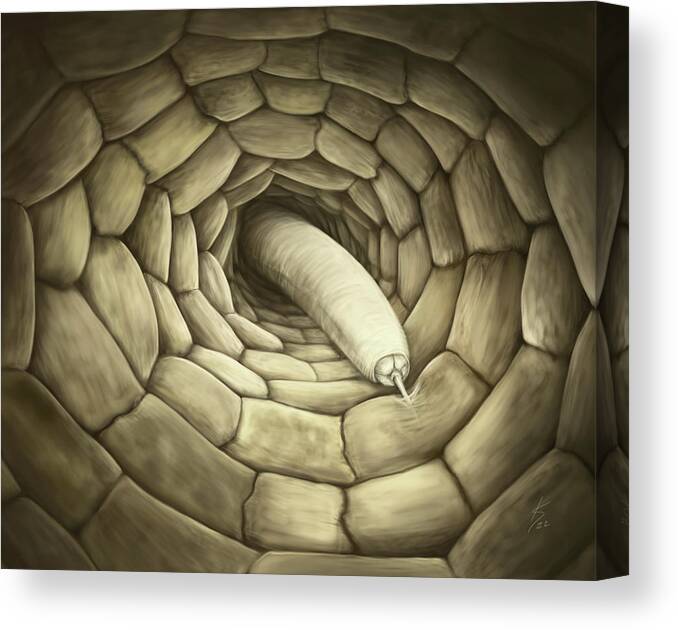 Nematode Canvas Print featuring the digital art Root feeding nematode by Kate Solbakk
