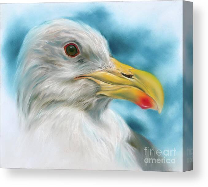 Bird Canvas Print featuring the painting Seagull with Red Spotted Beak by MM Anderson