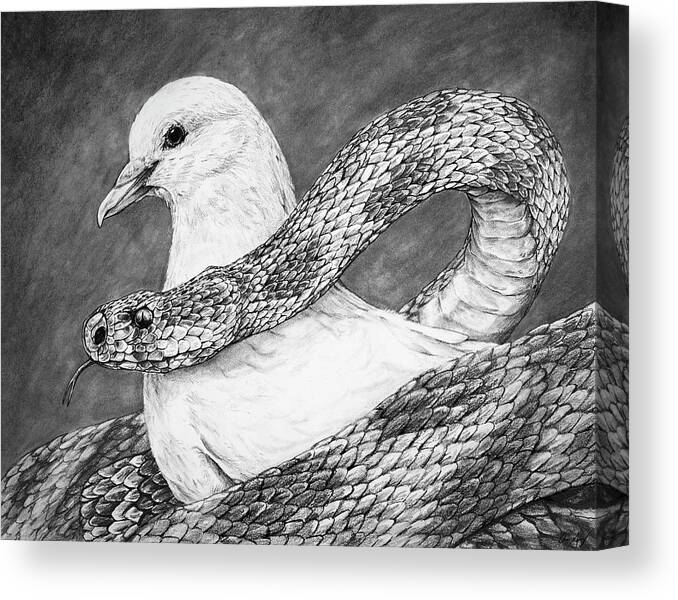 Dove Canvas Print featuring the drawing Serpent and Dove by Aaron Spong
