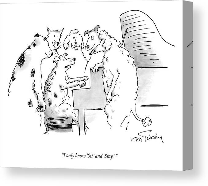 A24871 Canvas Print featuring the drawing Sit And Stay by Mike Twohy