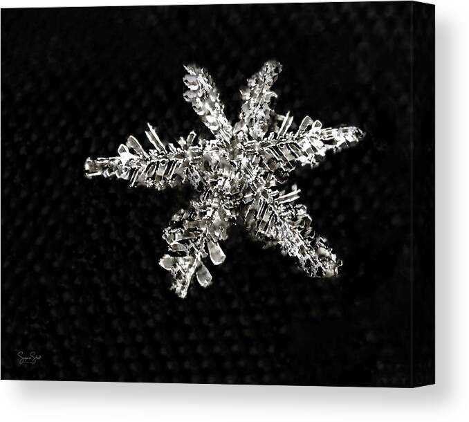 Ice Crystals Canvas Print featuring the photograph Snowflake by Suzanne Stout