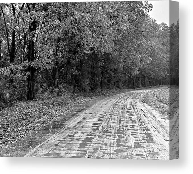 Dirt Canvas Print featuring the photograph Soggy Dirt Road BW by Lee Darnell
