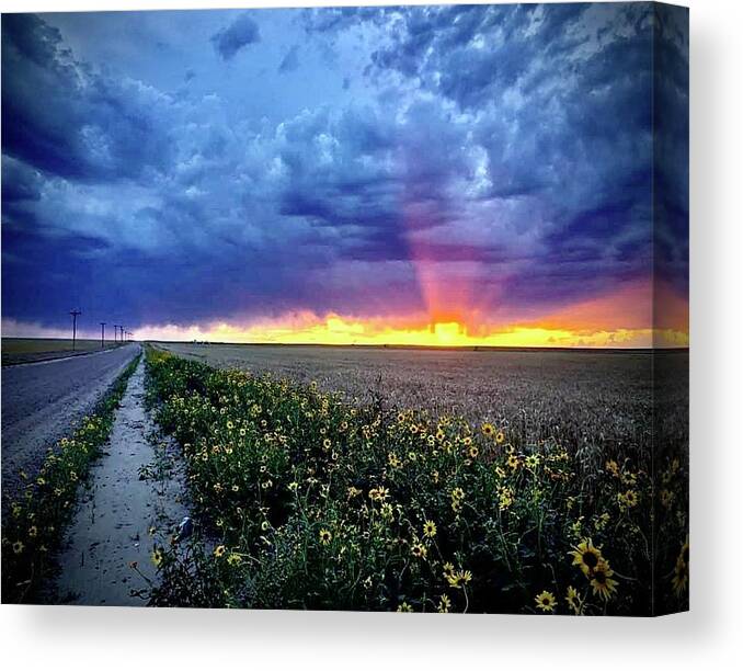 Sunset Canvas Print featuring the photograph Sunset 3 by Julie Powell
