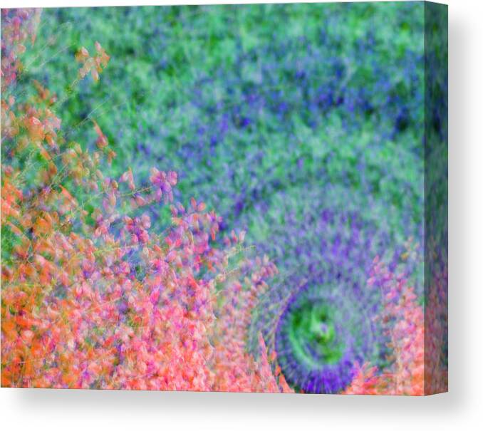 Flowers Canvas Print featuring the photograph Swirl of Flowers by Melissa Southern