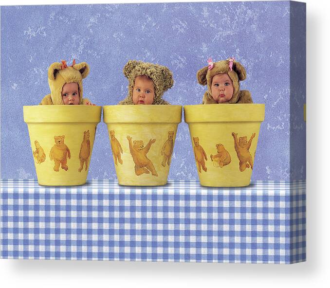Flowerpots Canvas Print featuring the photograph Teddy Bear Pots by Anne Geddes