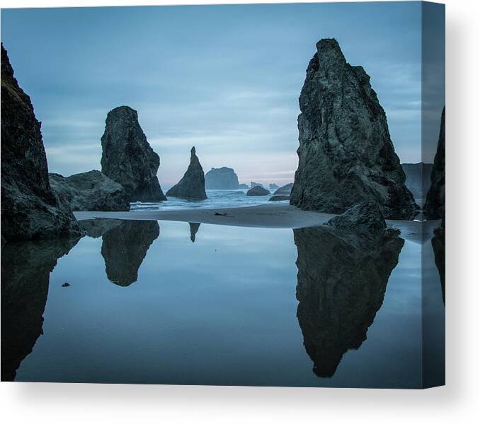 2018 Canvas Print featuring the photograph The Guardians by Gerri Bigler