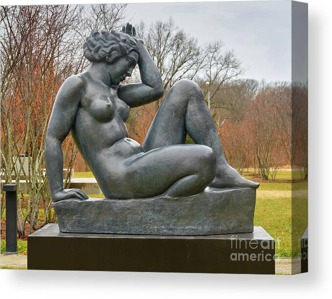 Sculpture Canvas Print featuring the photograph The Mountain by Jim Trotter