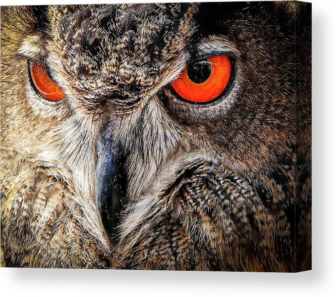 2020 Canvas Print featuring the photograph The Night Watchman by Gerri Bigler