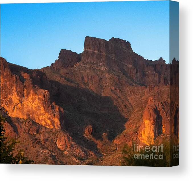 The Superstition Cougar Canvas Print featuring the digital art The Superstition Cougar by Tammy Keyes